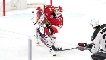 Сергей Бобровский.