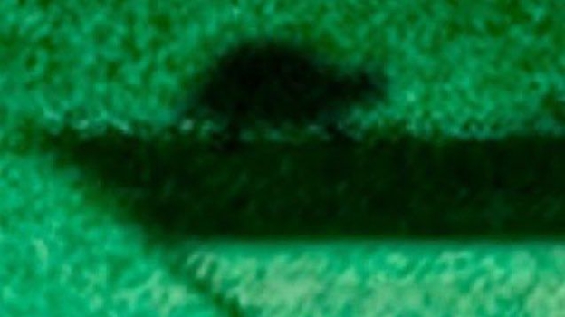 Скриншот видеоролика.