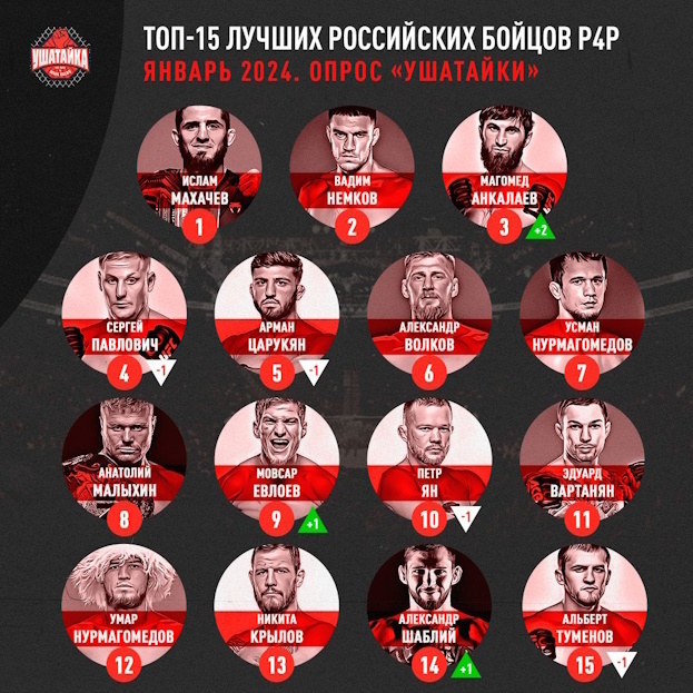 Топ-15 лучших российских бойцов.