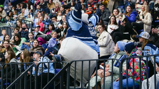 Болельщики «Сибирских Снайперов».