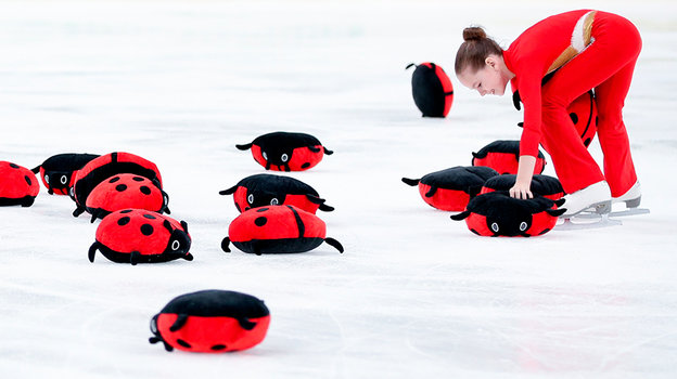 Болельщики кидают на лед мягкие игрушки.