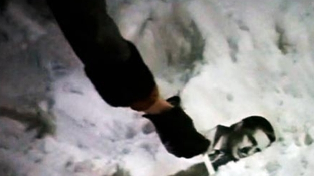 Кадр из фильма «Ирония судьбы, или С легким паром!»