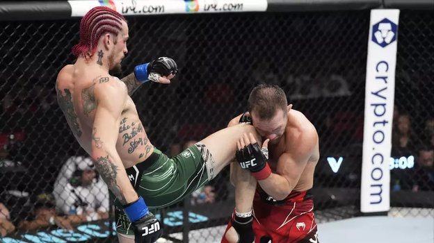 Шон О`Мэлли и Петр Ян.