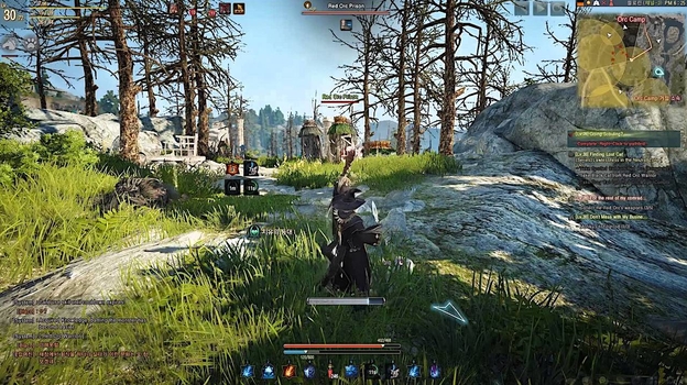 Black Desert Online.