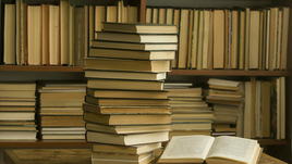 Стопки книг