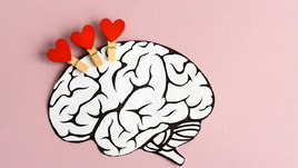 Мозг человека