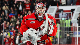 Хоккеист Владимир Галкин