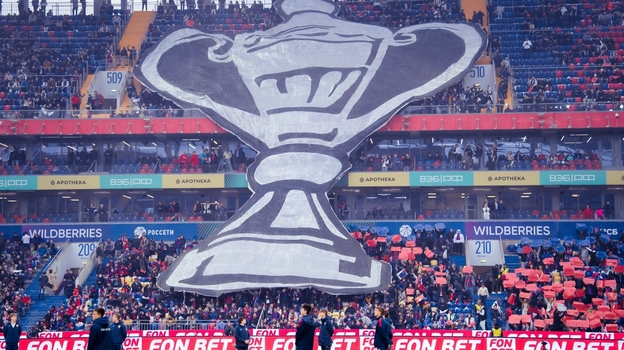 Кубок России.