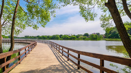 Мещерский парк