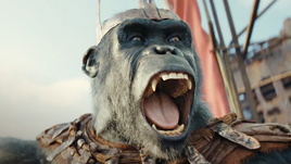 Кадр из фильма «Планета обезьян: Новое царство»