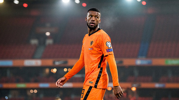 Джорджиньо Вейналдум.