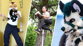 «фурри», «квадробика» и «хоббихорсинг»