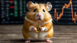 Что такое Hamster Kombat: виртуальный хомяк покорил пользователей Telegram