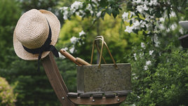 Дачный участок