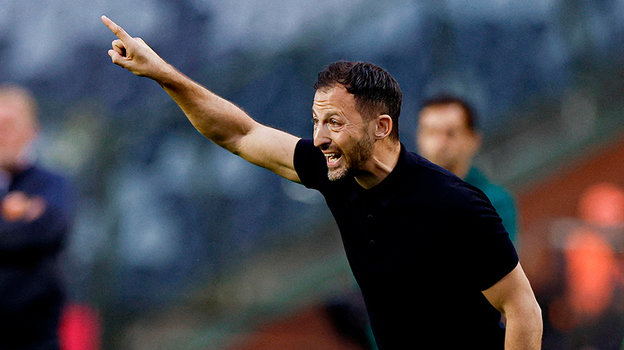 Доменико Тедеско. Главный тренер сборной Бельгии Доменико Тедеско.