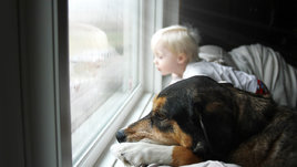 Ребенок у окна