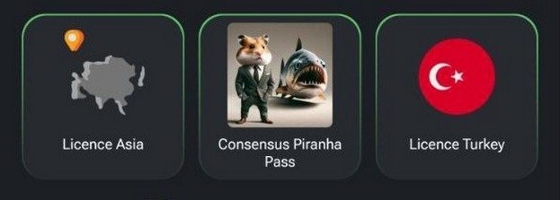 Комбо-карты для Hamster Kombat на 25-26 июня.