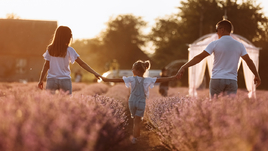 День семьи, любви и верности