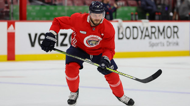 Дмитрий Куликов.