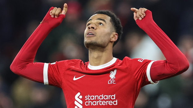 Коди Гакпо в «Ливерпуле». Футболист «Ливерпуля» Коди Гакпо