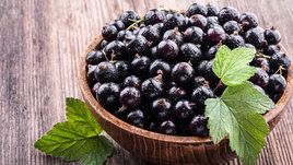 День смородины: когда отмечается и традиции праздника