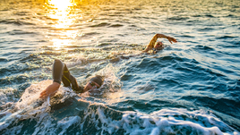 Плавание на открытой воде