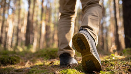 Человек в лесу