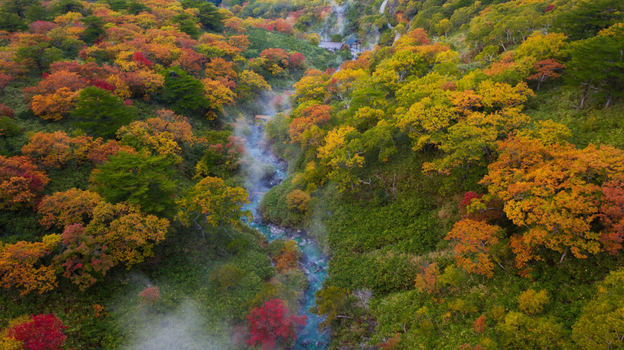 Курильские острова.