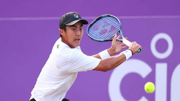 Ринки Хидзиката.