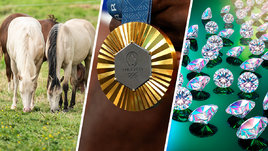 Не только машины и деньги. За победу на Олимпиаде спортсмены получают лошадей, бриллианты и картины с айфонами