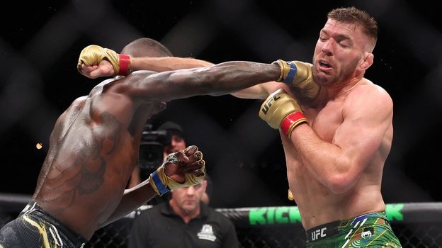 Исраэль Адесанья и Дрикус Дю Плесси.