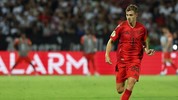 Йосип Станишич.