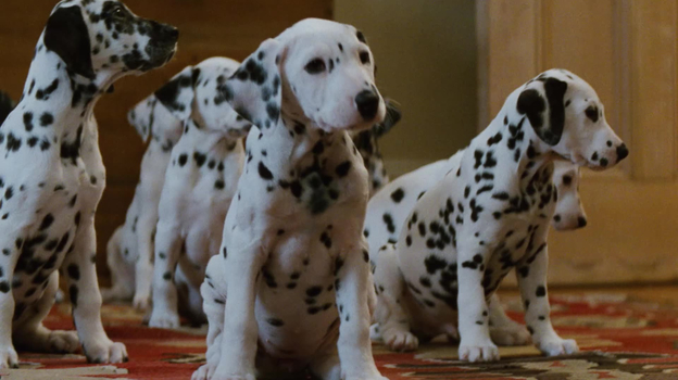 Кадр из фильма «101 далматинец»