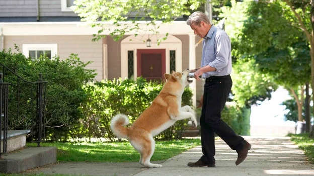 Кадр из фильма «Хатико: Самый верный друг»