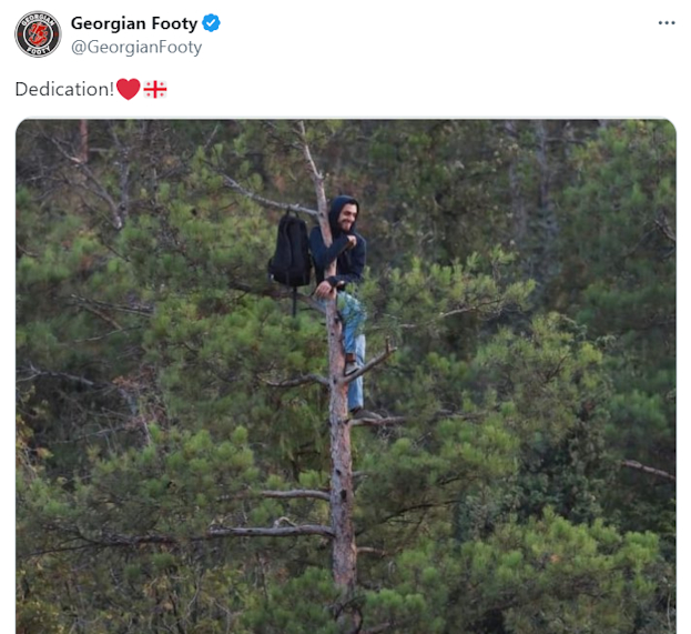 Болельщик сборной Грузии наблюдает за матчем с дерева.