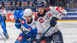 «Добро пожаловать в город вашего величайшего преступления». Фанаты «Освенцима» встретили команду из Берлина