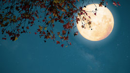 Осенний сезон в ночном небе