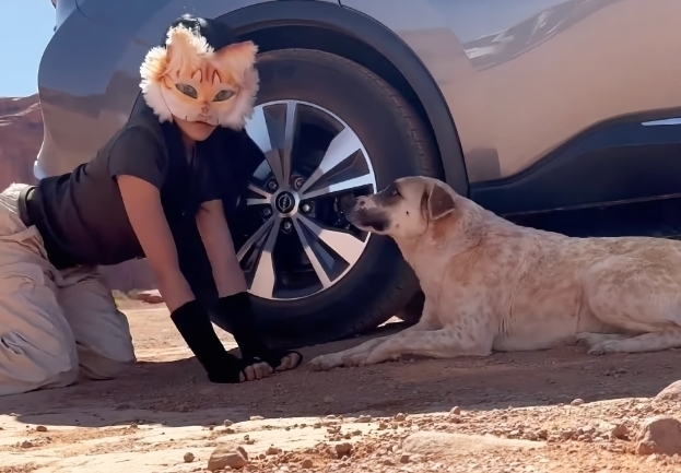 Квадробер с собакой.