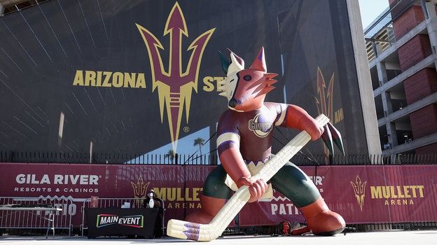 Талисман «Аризоны». Талисман «Аризоны»