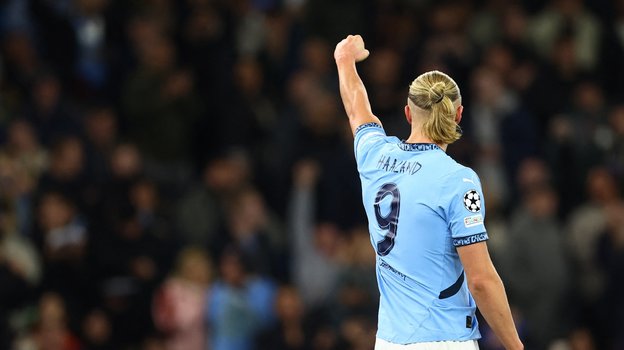 Эрлинг Холанн.