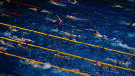 Почти все звезды российского плавания отобрались на ЧМ. Правда, нейтральный статус есть пока только у единиц