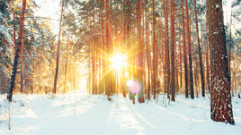 Зимний солнечный пейзаж