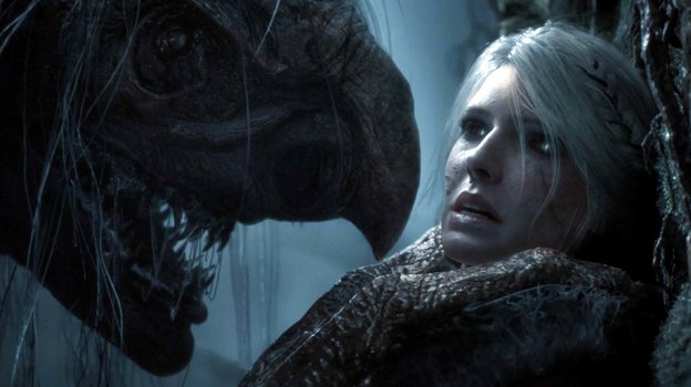 Цири сражается с чудовищем.