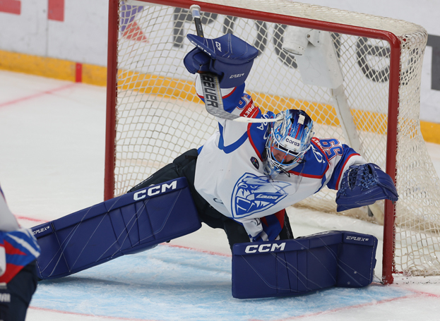 Владислав Подъяпольский. Голкипер «Лады» Владислав Подъяпольский