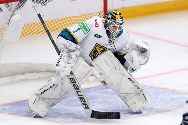 Михаил Бердин. Вратарь Михаил Бердин