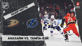 «Анахайм» — «Тампа-Бэй»: НХЛ, видеообзор матча