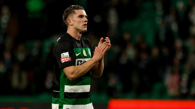 Виктор Дьекереш.