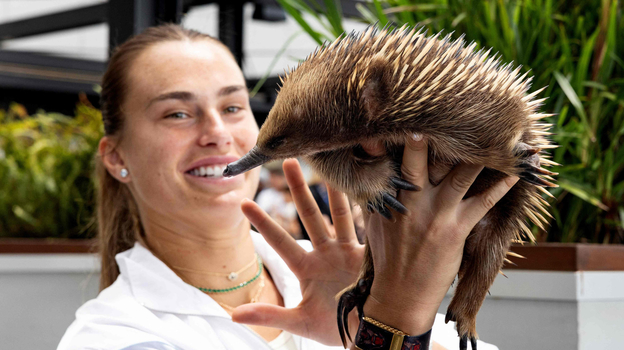 Теннисистка Арина Соболенко.