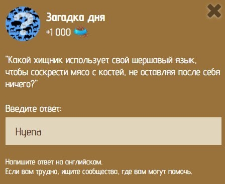 Загадка дня в Zoo 11-12 января.