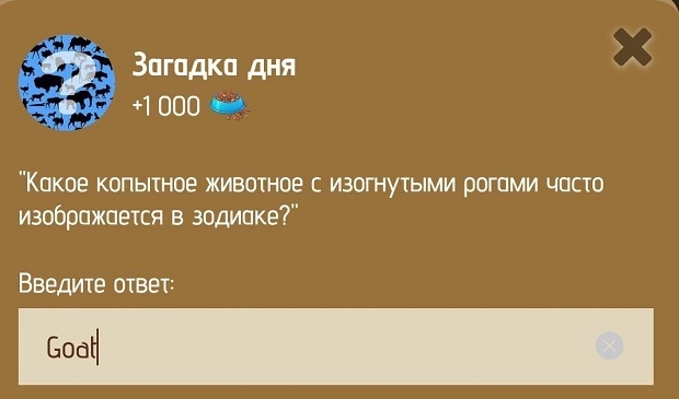 Загадка дня в Zoo 12-13 января.